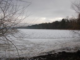 2012-Seegfroeri-19
