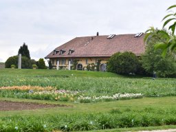 2018-Schloss-vullierans-16