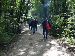 Wanderweg-Aarberg-Lyss-alte-Aare-10