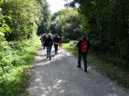 Wanderweg-Aarberg-Lyss-alte-Aare-12