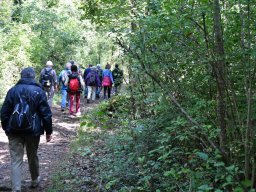 Wanderweg-Aarberg-Lyss-alte-Aare-20