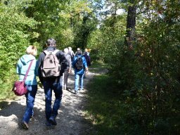 Wanderweg-Aarberg-Lyss-alte-Aare-21