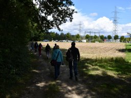 Wanderweg-Aarberg-Lyss-alte-Aare-29