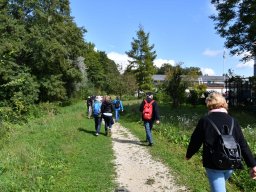 Wanderweg-Aarberg-Lyss-alte-Aare-3