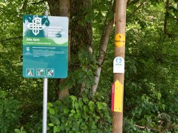 Wanderweg-Aarberg-Lyss-alte-Aare-30-1