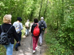 Wanderweg-Aarberg-Lyss-alte-Aare-36