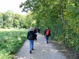 Wanderweg-Aarberg-Lyss-alte-Aare-6