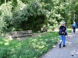 Wanderweg-Aarberg-Lyss-alte-Aare-7