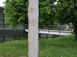 2011-Loewenberg-Murten-11