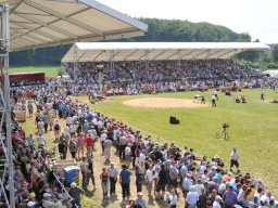 Herzogenbuchsee-2012-_06